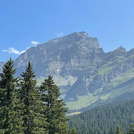 Chalet Fleur Des Champs *