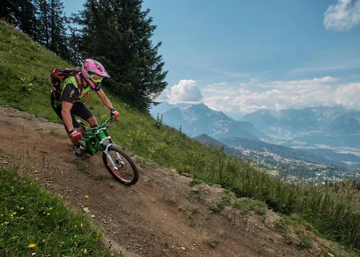 Alpstuga Fleur Des Champs Gryon