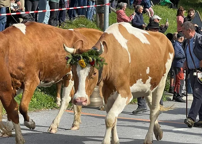 Fleur Des Champs Alpstuga *