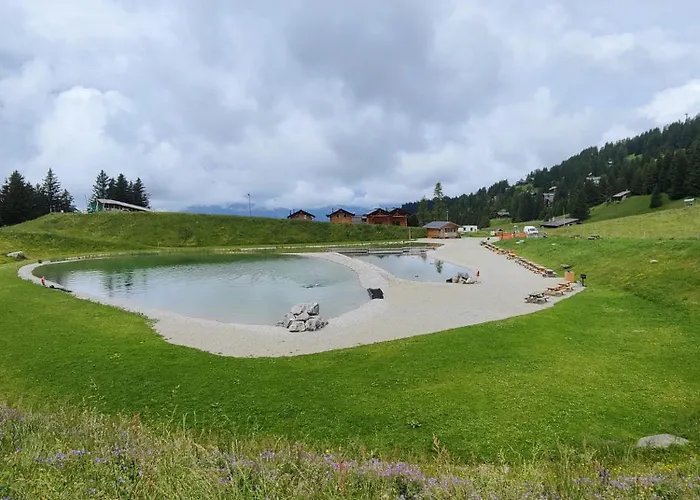 Fleur Des Champs * 그리옹