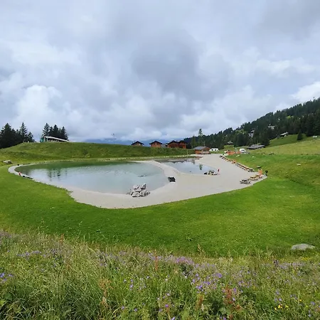 Fleur Des Champs * Gryon