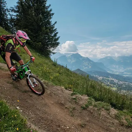 Domek alpejski Fleur Des Champs Gryon