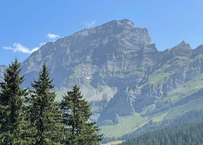 Domek alpejski Fleur Des Champs *